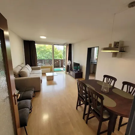 Apartment Zentrale 2 Zimmer-wohnung Mit Balkon Bayreuth